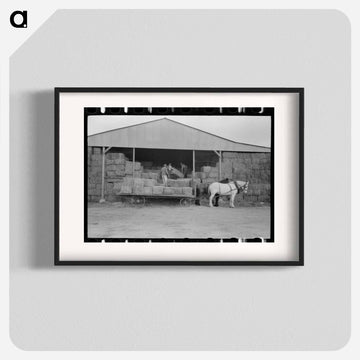 Mineral King Hay Unloading
 - ラッセル リー Poster.