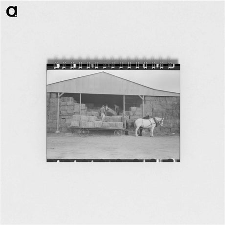 アートメモ帳-Mineral King Hay Unloading
 - ラッセル リー Memo.