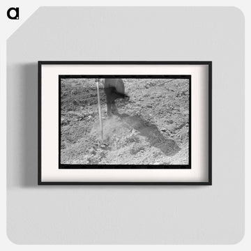 Chopping Cotton
 - ラッセル リー Poster.