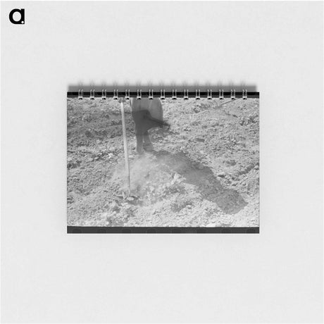アートメモ帳-Chopping Cotton
 - ラッセル リー Memo.