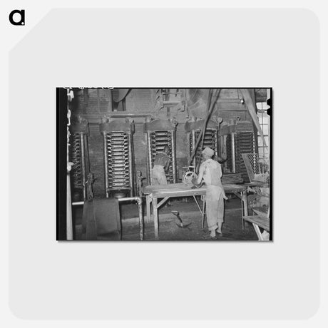 アートポストカード-Cotton Seed Oil Mill
 - ラッセル リー Postcard.