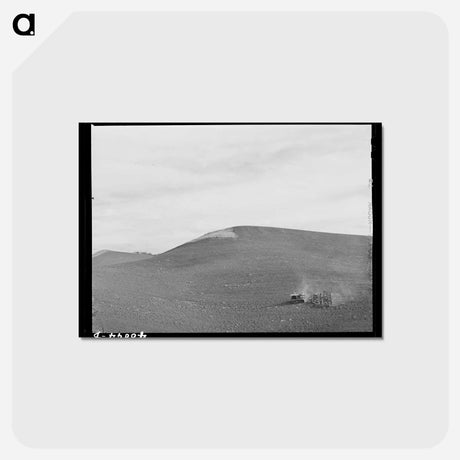 アートポストカード-Harrowing Summer Fallow
 - ラッセル リー Postcard.