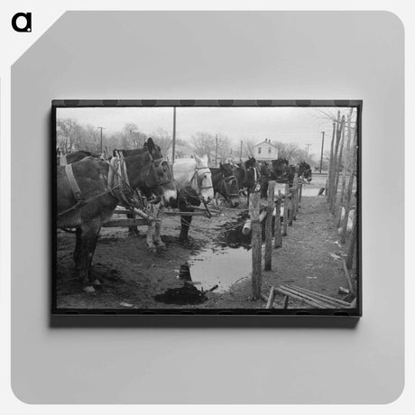 アートパネル-Mules at Hitching Posts
 - ラッセル リー Canvas.