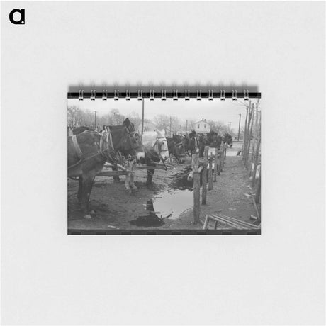 アートメモ帳-Mules at Hitching Posts
 - ラッセル リー Memo.
