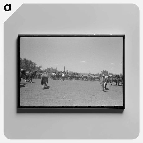 アートパネル-Horses in the Corral
 - ラッセル リー Canvas.