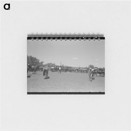 アートメモ帳-Horses in the Corral
 - ラッセル リー Memo.
