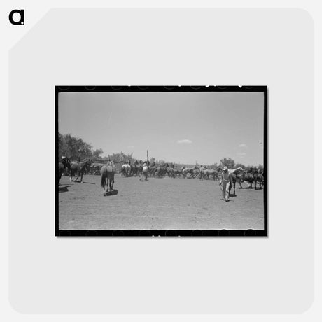 アートポストカード-Horses in the Corral
 - ラッセル リー Postcard.