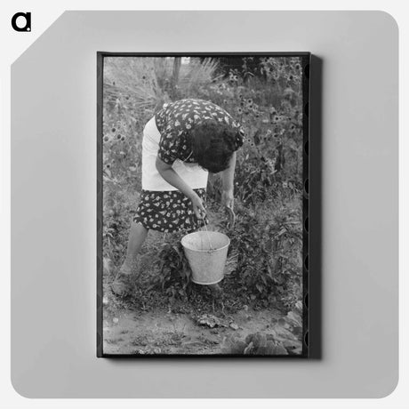 アートパネル-Chili Pepper Harvest
 - ラッセル リー Canvas.