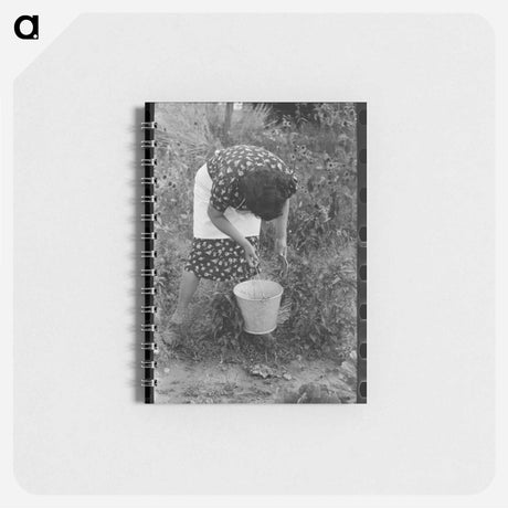 アートメモ帳-Chili Pepper Harvest
 - ラッセル リー Memo.