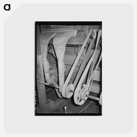 アートポストカード-Cotton Seed Cleaning Equipment
 - ラッセル リー Postcard.