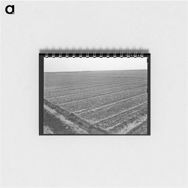 アートメモ帳-Onion Field, Eagle Pass
 - ラッセル リー Memo.