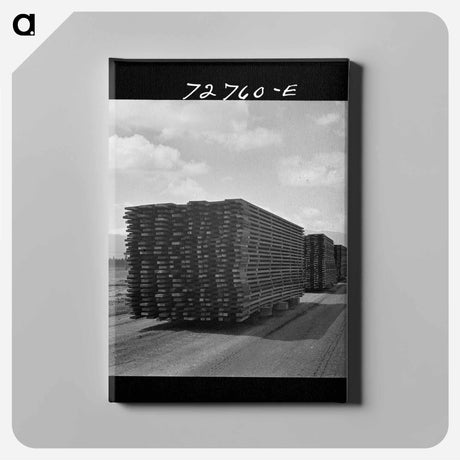 アートパネル-Guayule Nursery Duckboards
 - ラッセル リー Canvas.