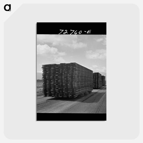 アートポストカード-Guayule Nursery Duckboards
 - ラッセル リー Postcard.