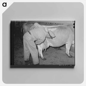 アートパネル-Washing Udder
 - ラッセル リー Canvas.