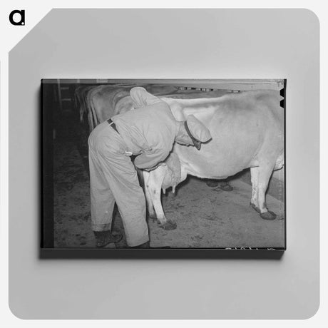 アートパネル-Washing Udder
 - ラッセル リー Canvas.