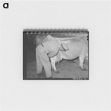 アートメモ帳-Washing Udder
 - ラッセル リー Memo.