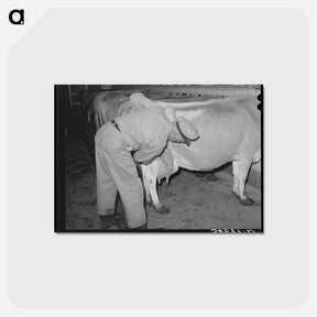 アートポストカード-Washing Udder
 - ラッセル リー Postcard.