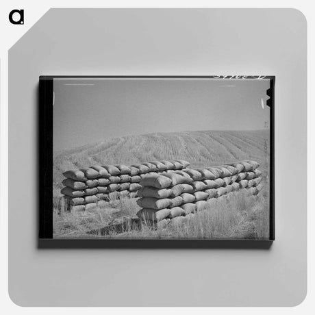 アートパネル-Sacked Wheat in the Field
 - ラッセル リー Canvas.