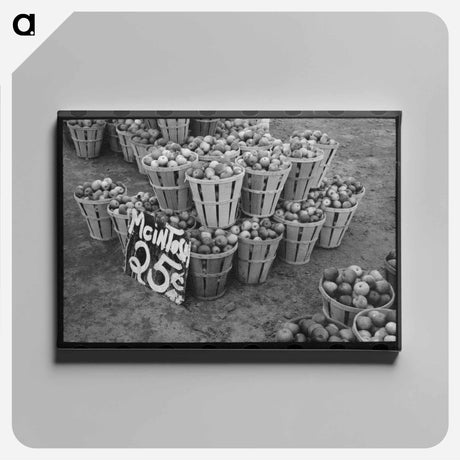 アートパネル-McIntosh Apples at Roadside Stand
 - ラッセル リー Canvas.