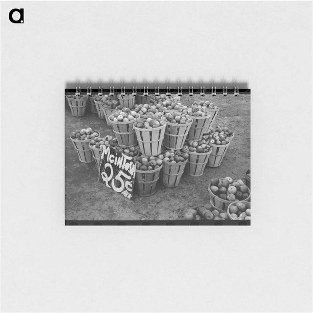 アートメモ帳-McIntosh Apples at Roadside Stand
 - ラッセル リー Memo.