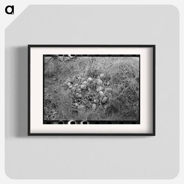 Beet Unloading Machine Worker
 - ラッセル リー Poster.