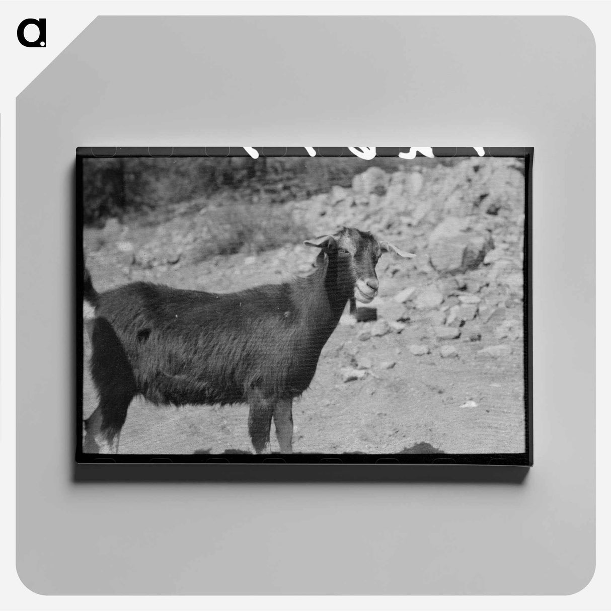 アートパネル-Prospector and Milk Goat
 - ラッセル リー Canvas.