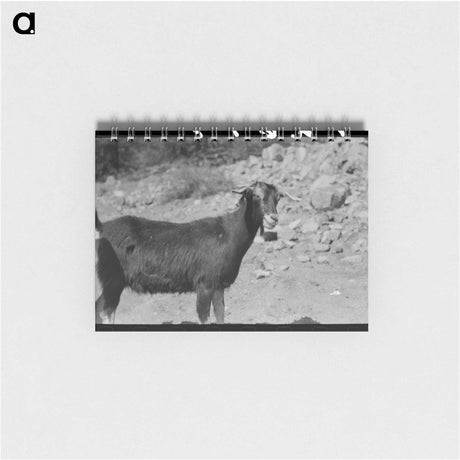 アートメモ帳-Prospector and Milk Goat
 - ラッセル リー Memo.