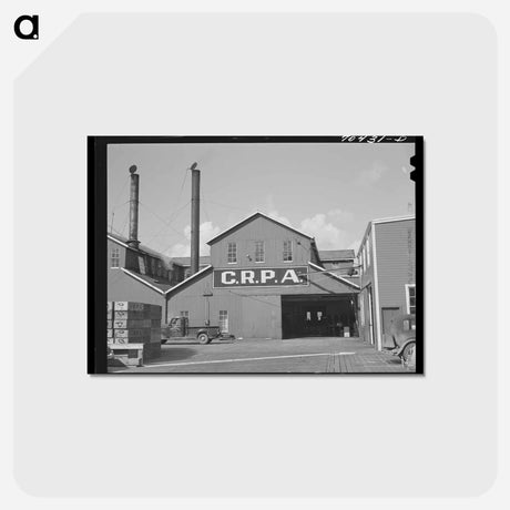 アートポストカード-Columbia River Packing Association Plant
 - ラッセル リー Postcard.
