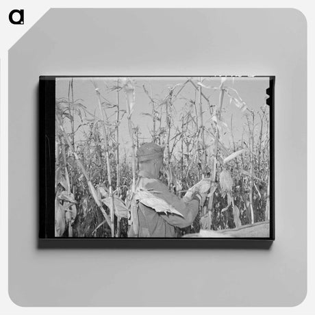 アートパネル-Cornhusking Contestant
 - ラッセル リー Canvas.