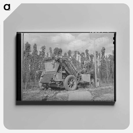 アートパネル-Portable Hop Picker
 - ラッセル リー Canvas.