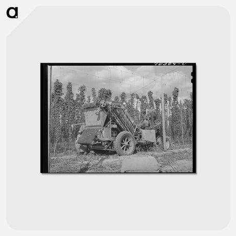 アートポストカード-Portable Hop Picker
 - ラッセル リー Postcard.