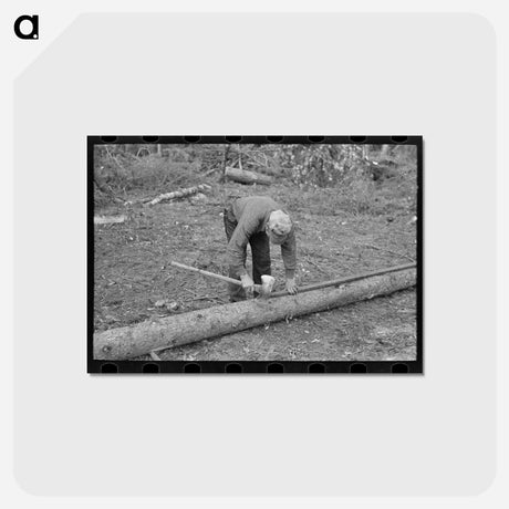 アートポストカード-Pulpwood Camp
 - ラッセル リー Postcard.