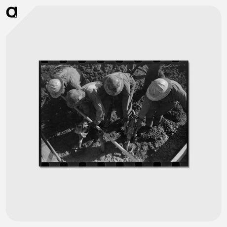 アートポストカード-Shasta Dam Construction Worker
 - ラッセル リー Postcard.