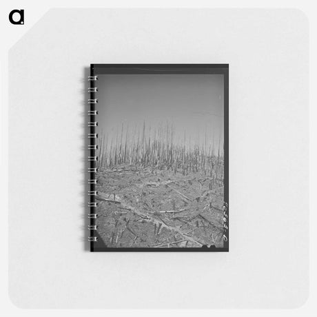 アートメモ帳-Clatsop County Burned Forest
 - ラッセル リー Memo.