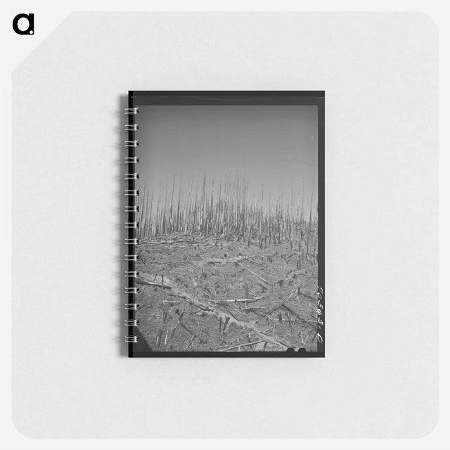 アートメモ帳-Clatsop County Burned Forest
 - ラッセル リー Memo.