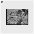 アートポストカード-Guayule Nursery Digger Demonstration
 - ラッセル リー Postcard.