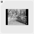 アートポストカード-Aledo Stockyards
 - ラッセル リー Postcard.