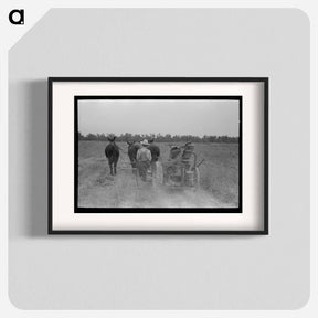 アートポスター-Cutting Hay, Lake Dick Project
 - ラッセル リー Poster.