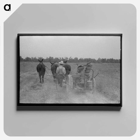 アートパネル-Cutting Hay, Lake Dick Project
 - ラッセル リー Canvas.