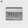 アートメモ帳-Cutting Hay, Lake Dick Project
 - ラッセル リー Memo.