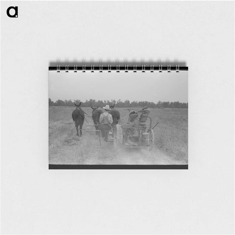 アートメモ帳-Cutting Hay, Lake Dick Project
 - ラッセル リー Memo.