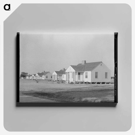 アートパネル-Types of Houses
 - ラッセル リー Canvas.