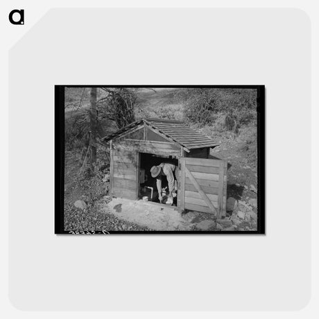 アートポストカード-Fruit Farmer in Springhouse
 - ラッセル リー Postcard.