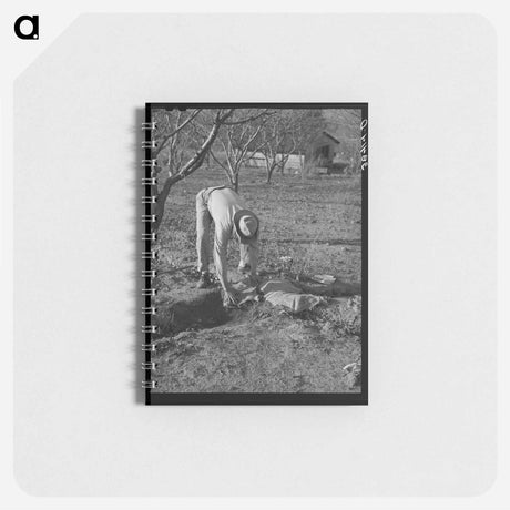 アートメモ帳-Banking the Irrigation Ditch
 - ラッセル リー Memo.