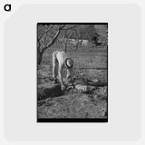 アートポストカード-Banking the Irrigation Ditch
 - ラッセル リー Postcard.