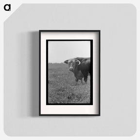 アートポスター-Bull's Head, Cruzen Ranch
 - ラッセル リー Poster.