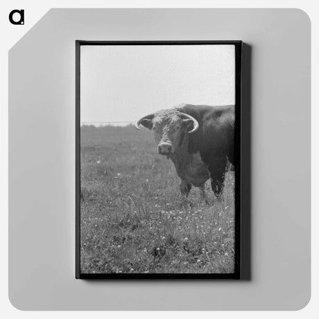 アートパネル-Bull's Head, Cruzen Ranch
 - ラッセル リー Canvas.