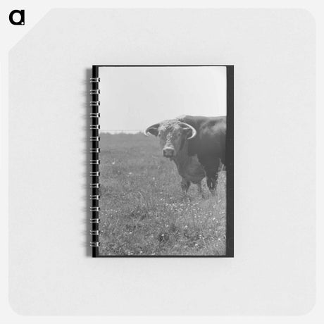 アートメモ帳-Bull's Head, Cruzen Ranch
 - ラッセル リー Memo.