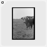 アートポストカード-Bull's Head, Cruzen Ranch
 - ラッセル リー Postcard.