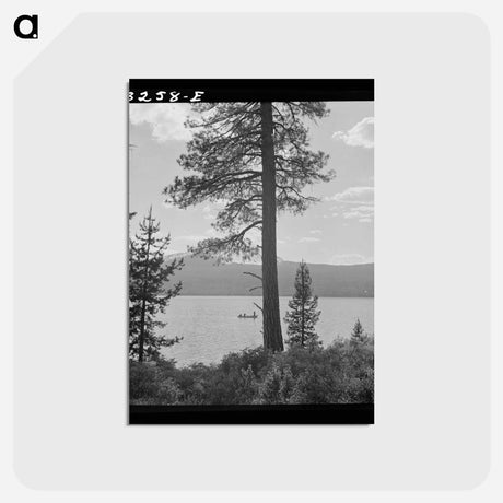 アートポストカード-Diamond Lake Resort
 - ラッセル リー Postcard.